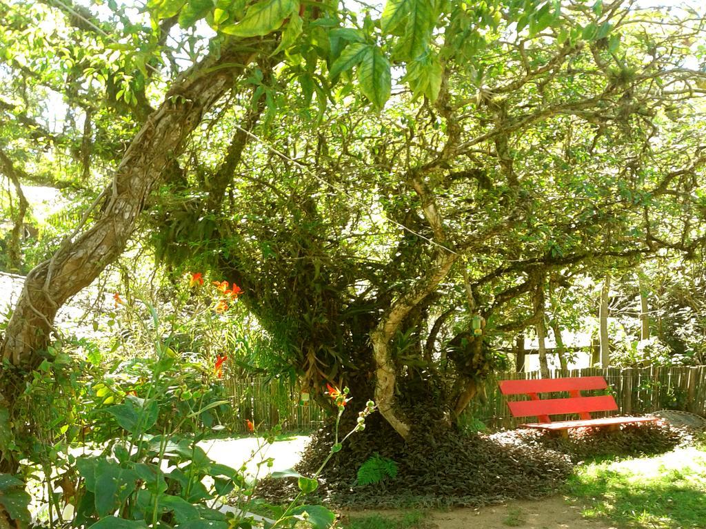 Pousada Terra Linda ปรายาโดโฮซา ภายนอก รูปภาพ